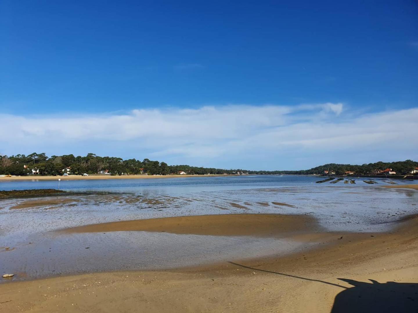 Terrasses Saint Georges - Un Emplacement Exceptionnel Au Centre-Ville Et Au Calme A Quelques Pas Du Lac Marin Soorts-Hossegor Eksteriør billede